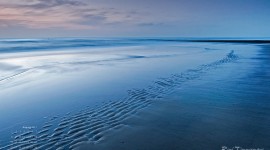 August 2011 wallpaper