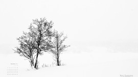 December 2011 wallpaper
