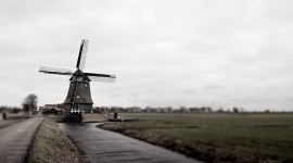 January 2012 wallpaper