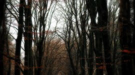 Zeddam_DSC0069_e