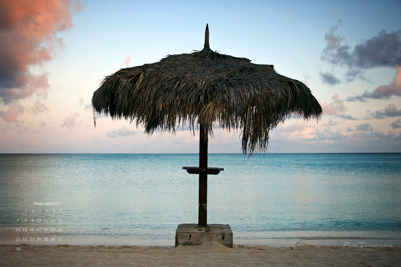 feb2011_wp_small