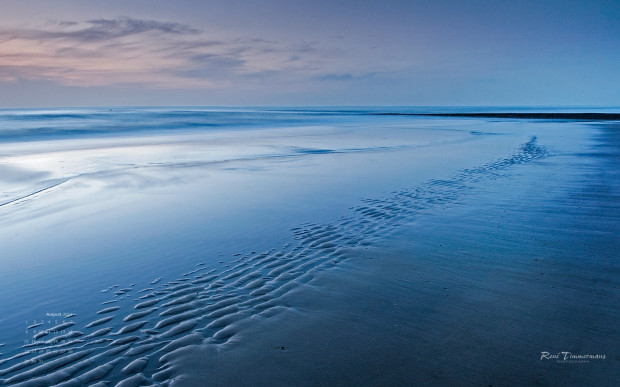 August 2011 wallpaper