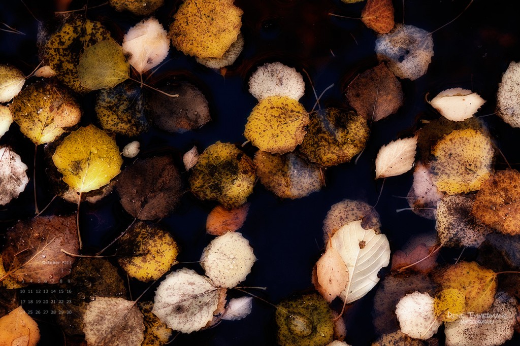 October 2011 wallpaper