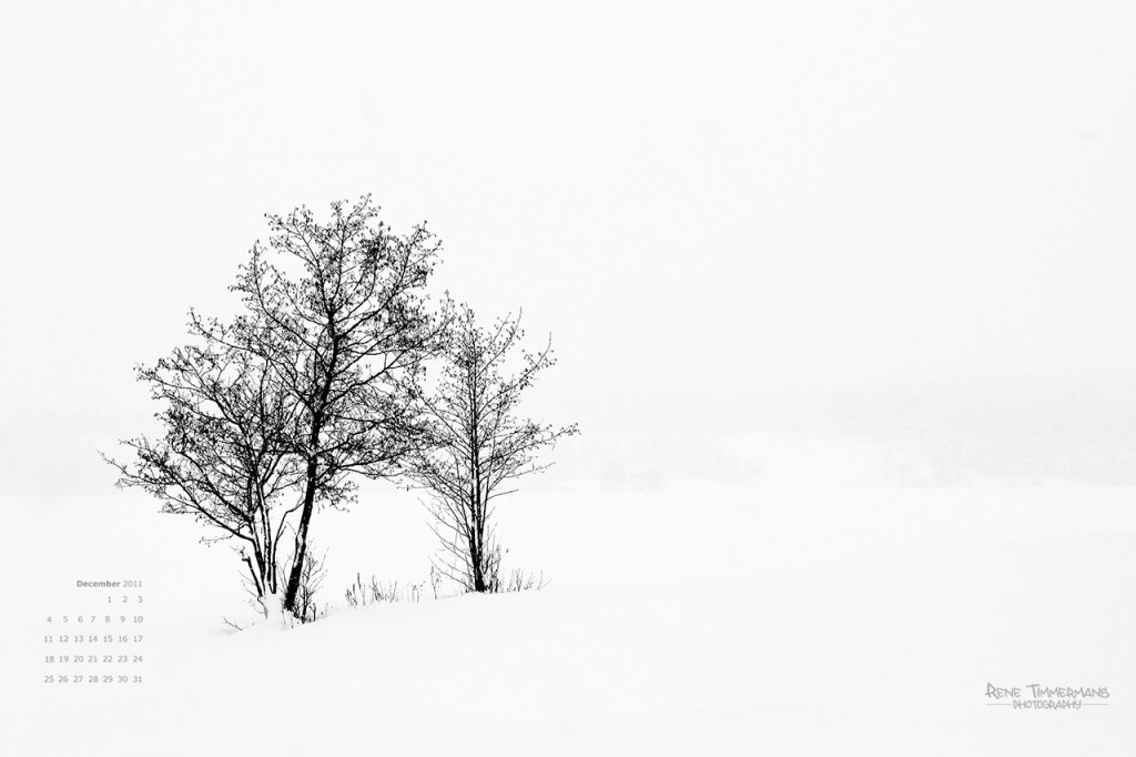 dec2011_wp_small December 2011 wallpaper
