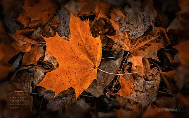 nov2012_wp_large