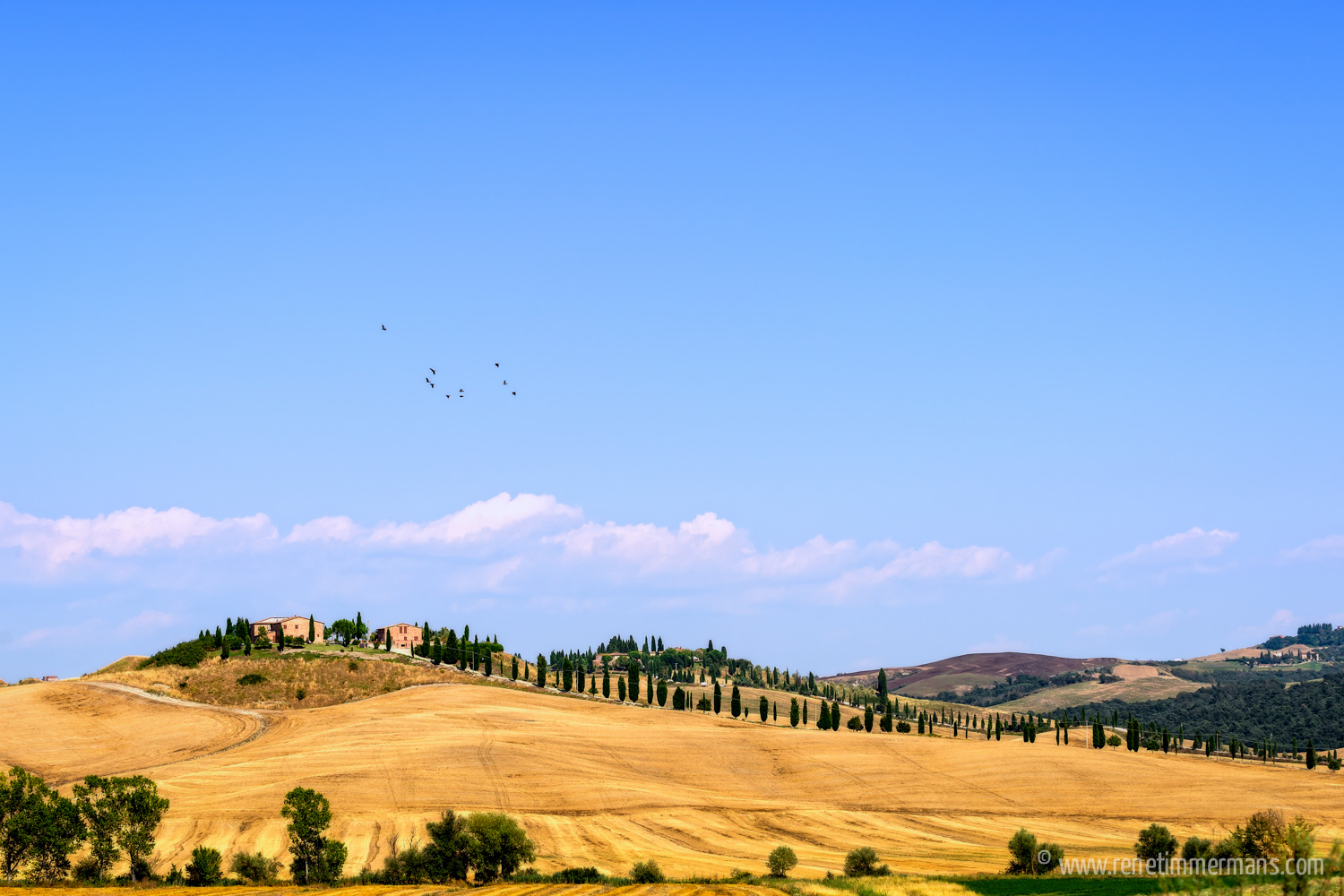 The Crete Senesi